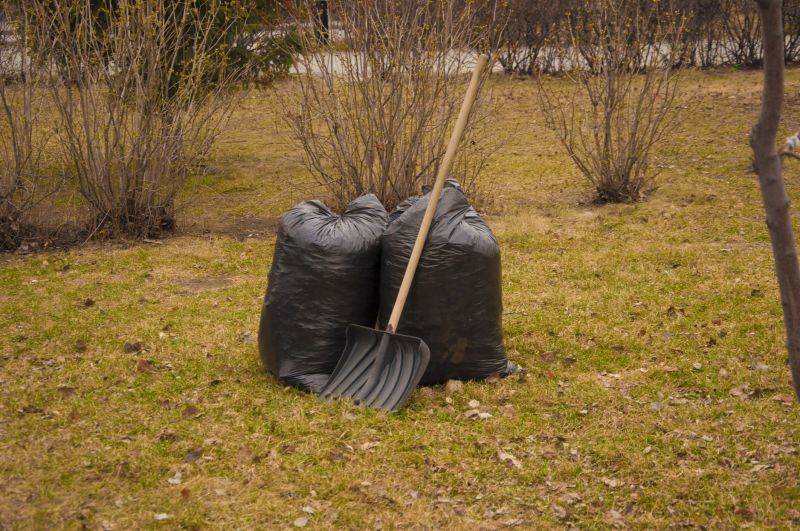 Spring Cleanup Season