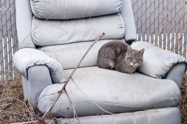 Recliner Disposal in Hattiesburg